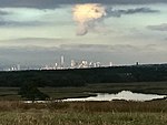 Fresh Kills Park 06